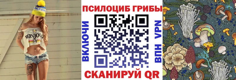 ссылка на мегу зеркало  Бугульма  Галлюциногенные грибы мицелий 
